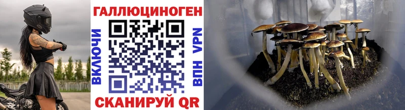 Псилоцибиновые грибы Psilocybine cubensis  купить наркотик  Тула 